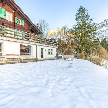 Weid - Aare Jungfrau Ag Vakantiehuis Grindelwald