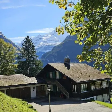 Vakantiehuis Weid - Aare Jungfrau Ag