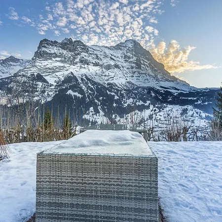 Weid - Aare Jungfrau Ag בקתה גרינדלוולד