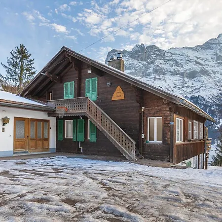 Weid - Aare Jungfrau Ag * גרינדלוולד