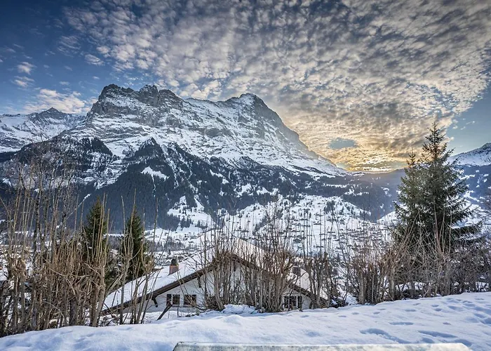 Weid - Aare Jungfrau Ag Chalet *